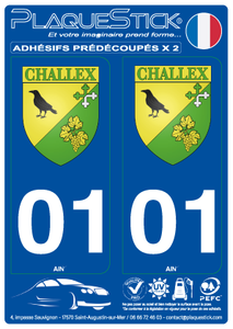 01 -Challex "Blason" PlaqueStick