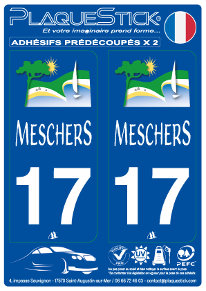 17 -Meschers PlaqueStick